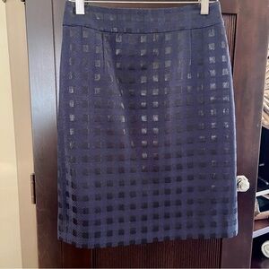 Banana Republic Skirt